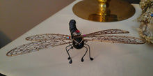 Bronze and Black Dragonfly