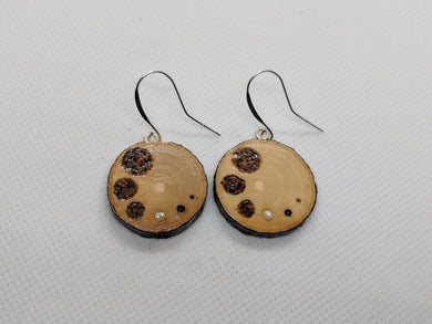 Handmade Live Edge Wood and Gemstone Earrings