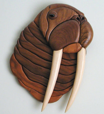 Walrus