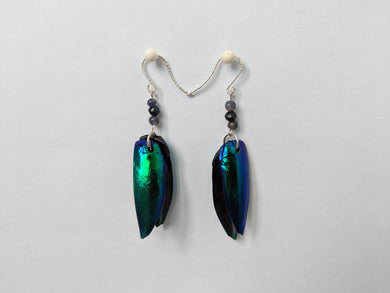 Real Jewel Beetle Earrings with Iolite and Spinel