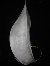 Chrysalis