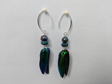 Real Jewel Beetle Earrings with Pearl