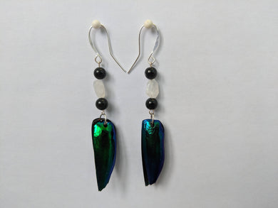 Real Jewel Beetle Earrings with Rainbow Moonstone and Onyx